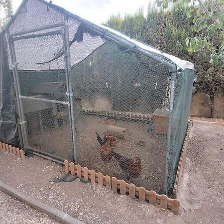 Casita De Invitados En Otura المظهر الخارجي الصورة